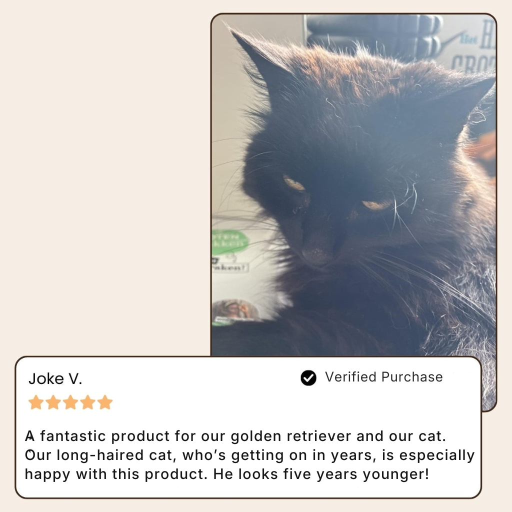 SteamiBrush™ | Professional Pet Grooming Brush