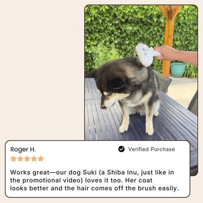 SteamiBrush™ | Professional Pet Grooming Brush
