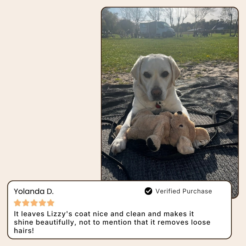 SteamiBrush™ | Professional Pet Grooming Brush