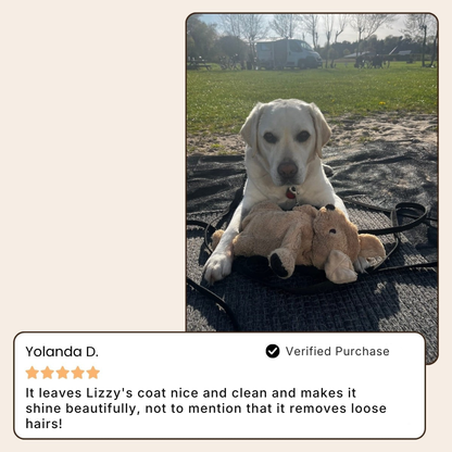 SteamiBrush™ | Professional Pet Grooming Brush
