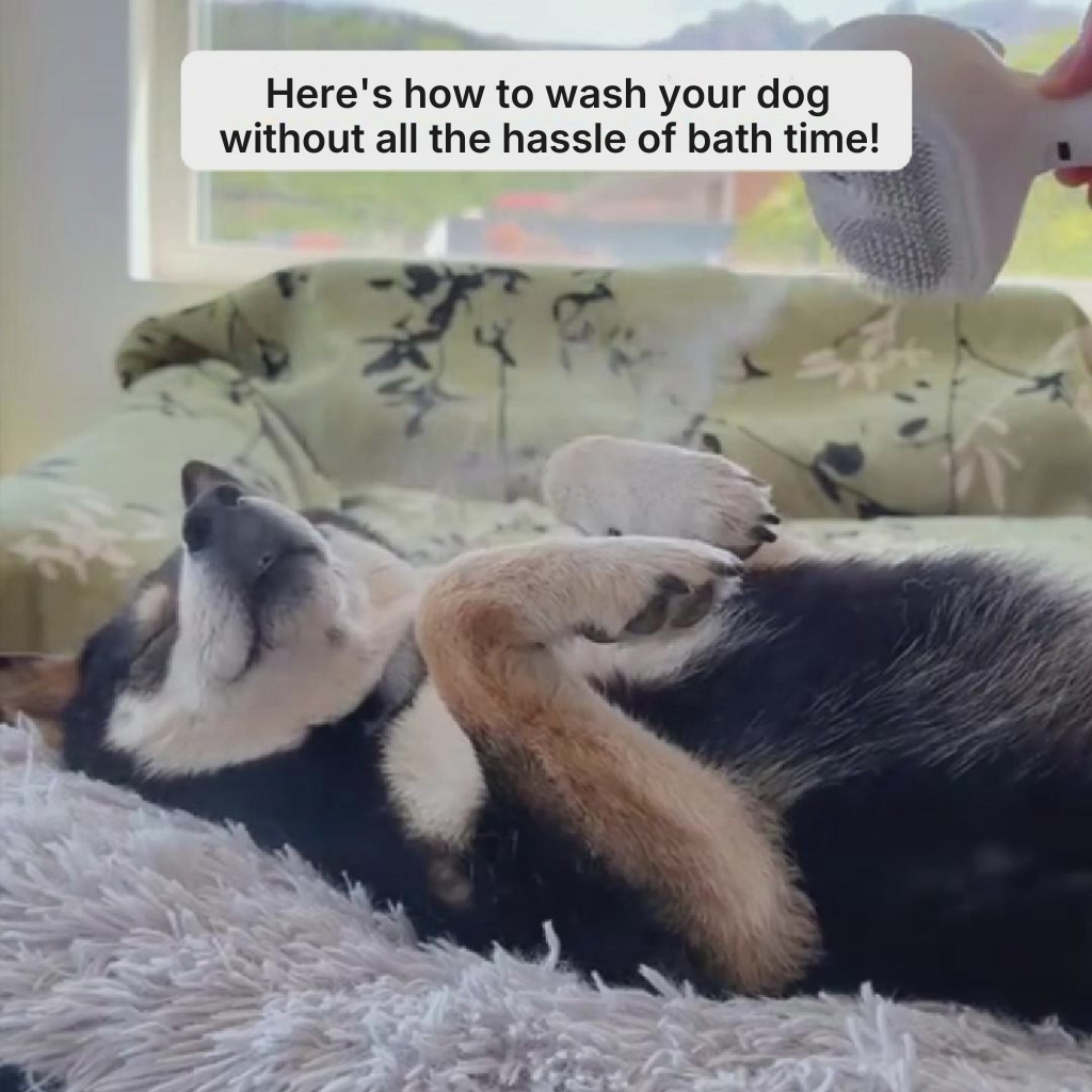 SteamiBrush™ | Professional Pet Grooming Brush