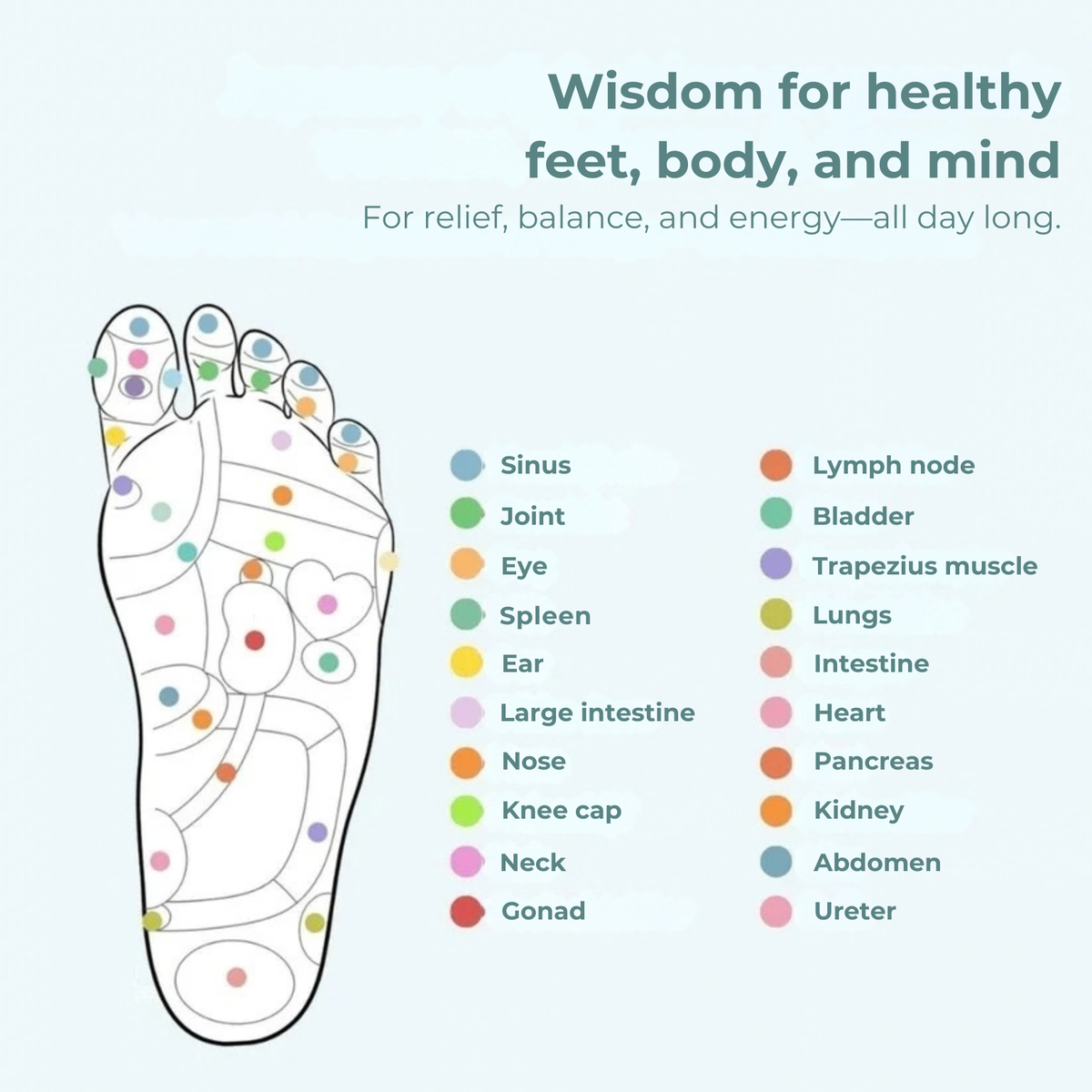 MagniFit™ Magnetic Insoles | Lose Weight with EVERY STEP