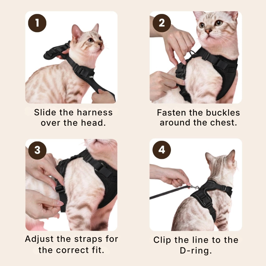 ExploreFit™ Cat Harness