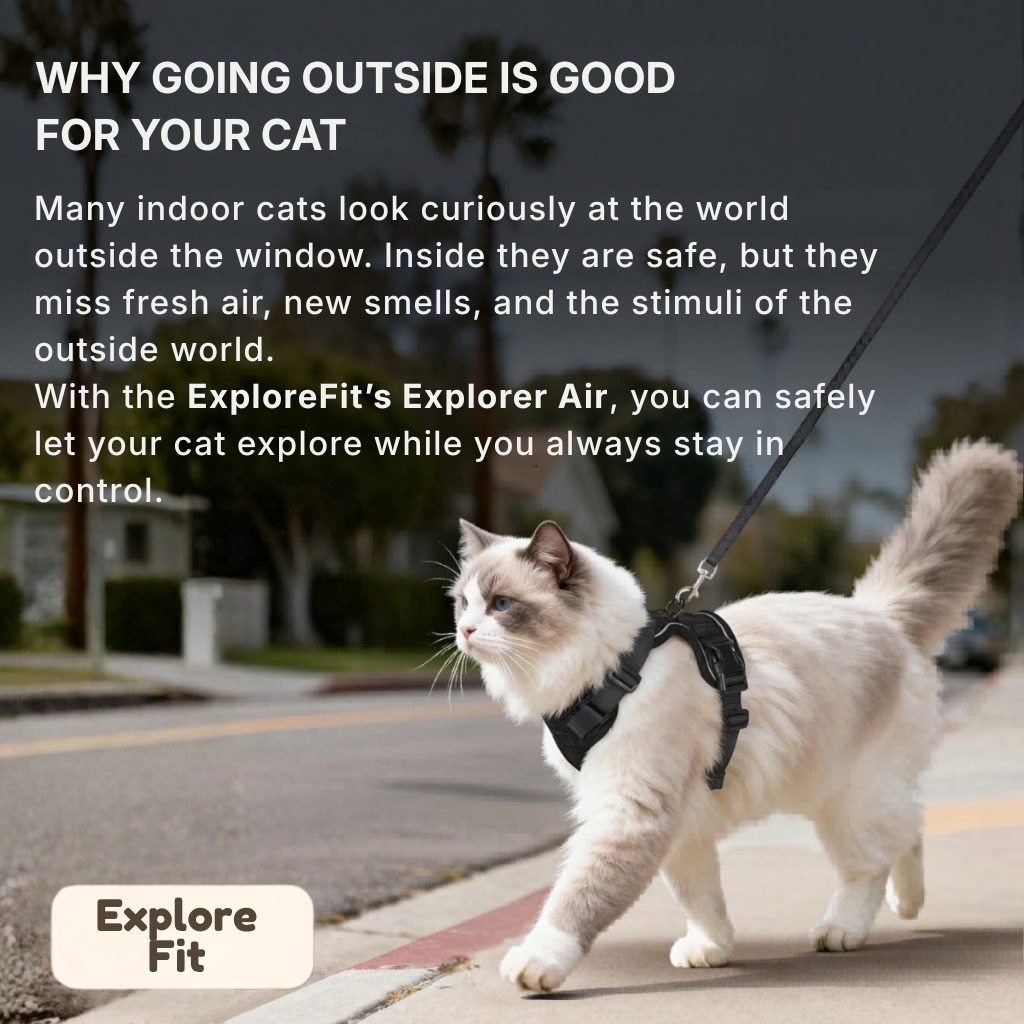 ExploreFit™ Cat Harness