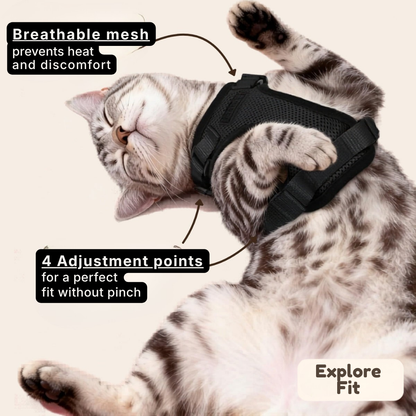 ExploreFit™ Cat Harness