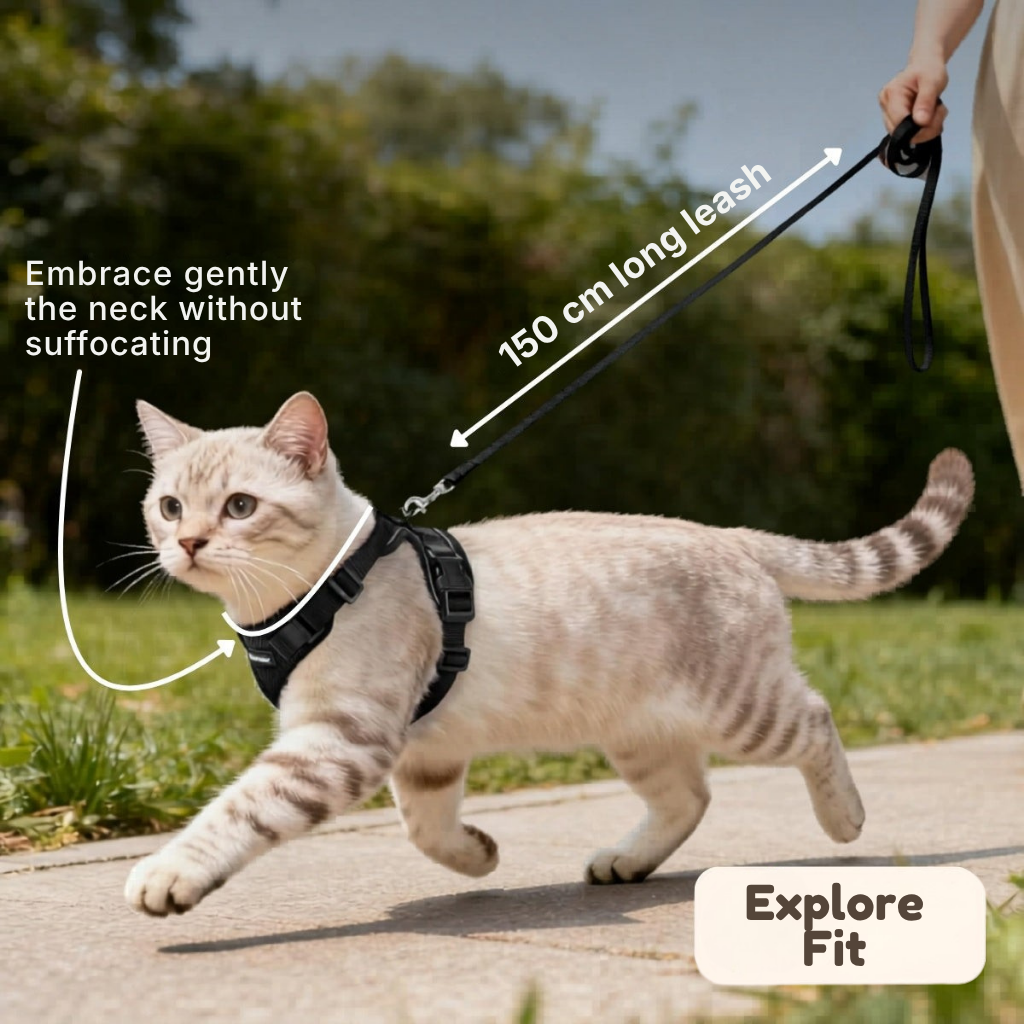 ExploreFit™ Cat Harness