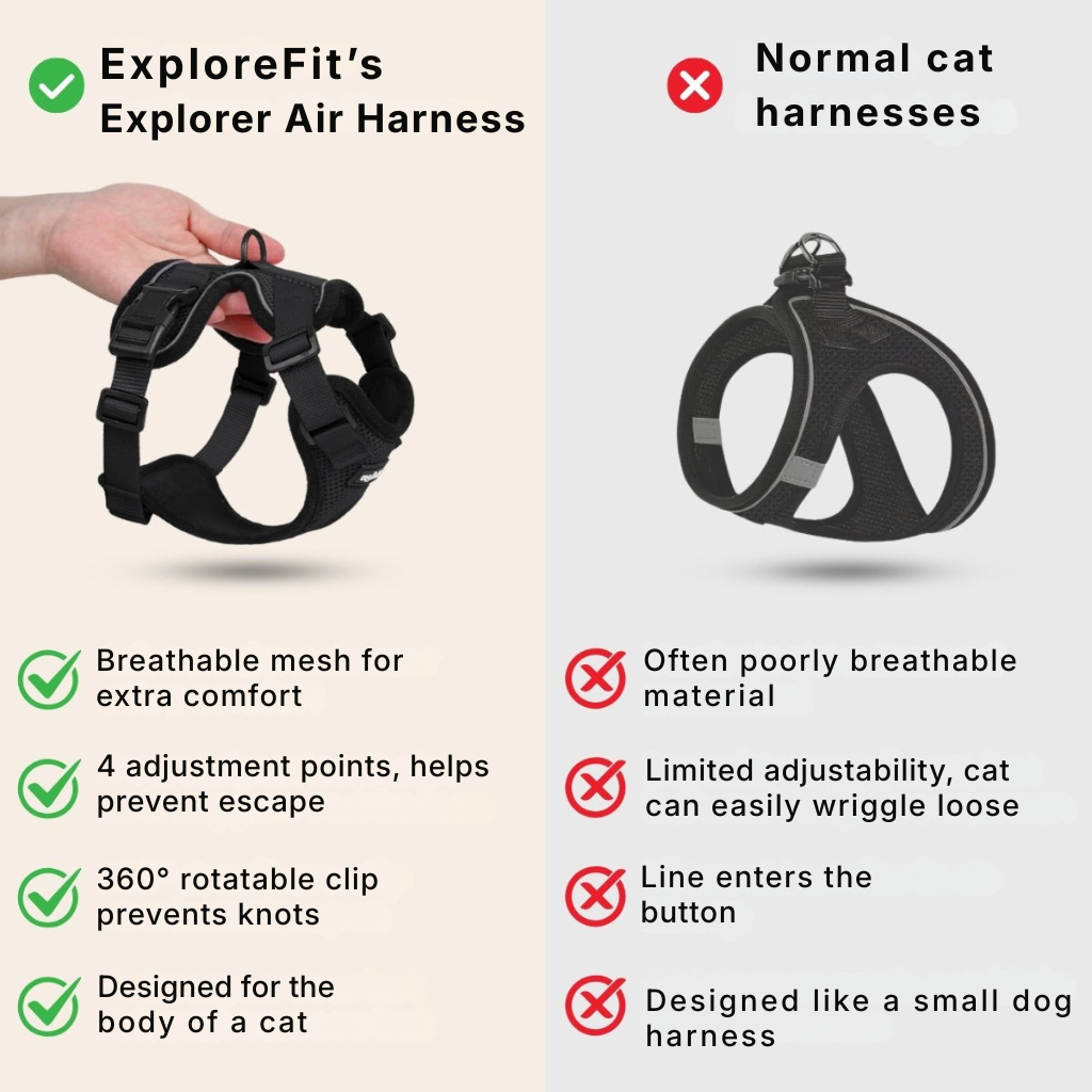ExploreFit™ Cat Harness
