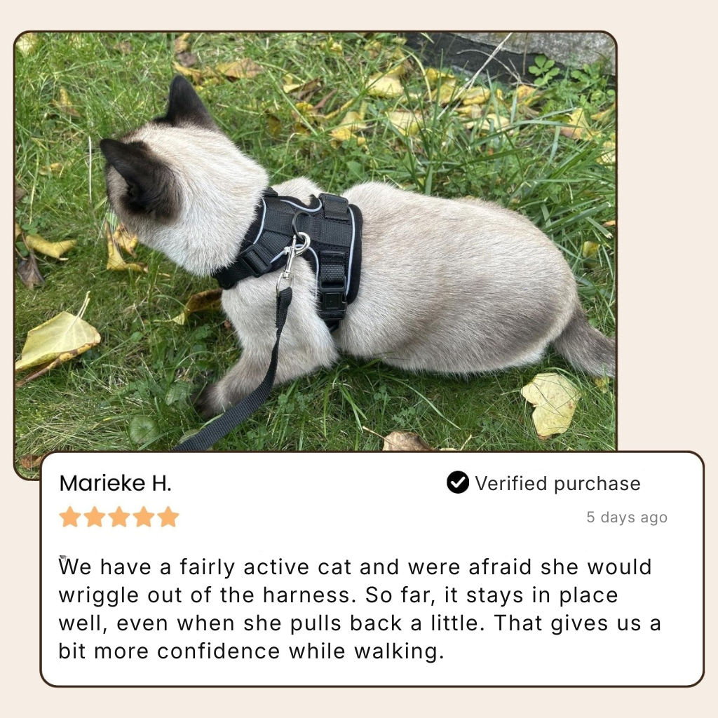 ExploreFit™ Cat Harness