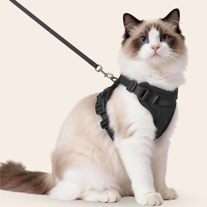 ExploreFit™ Cat Harness