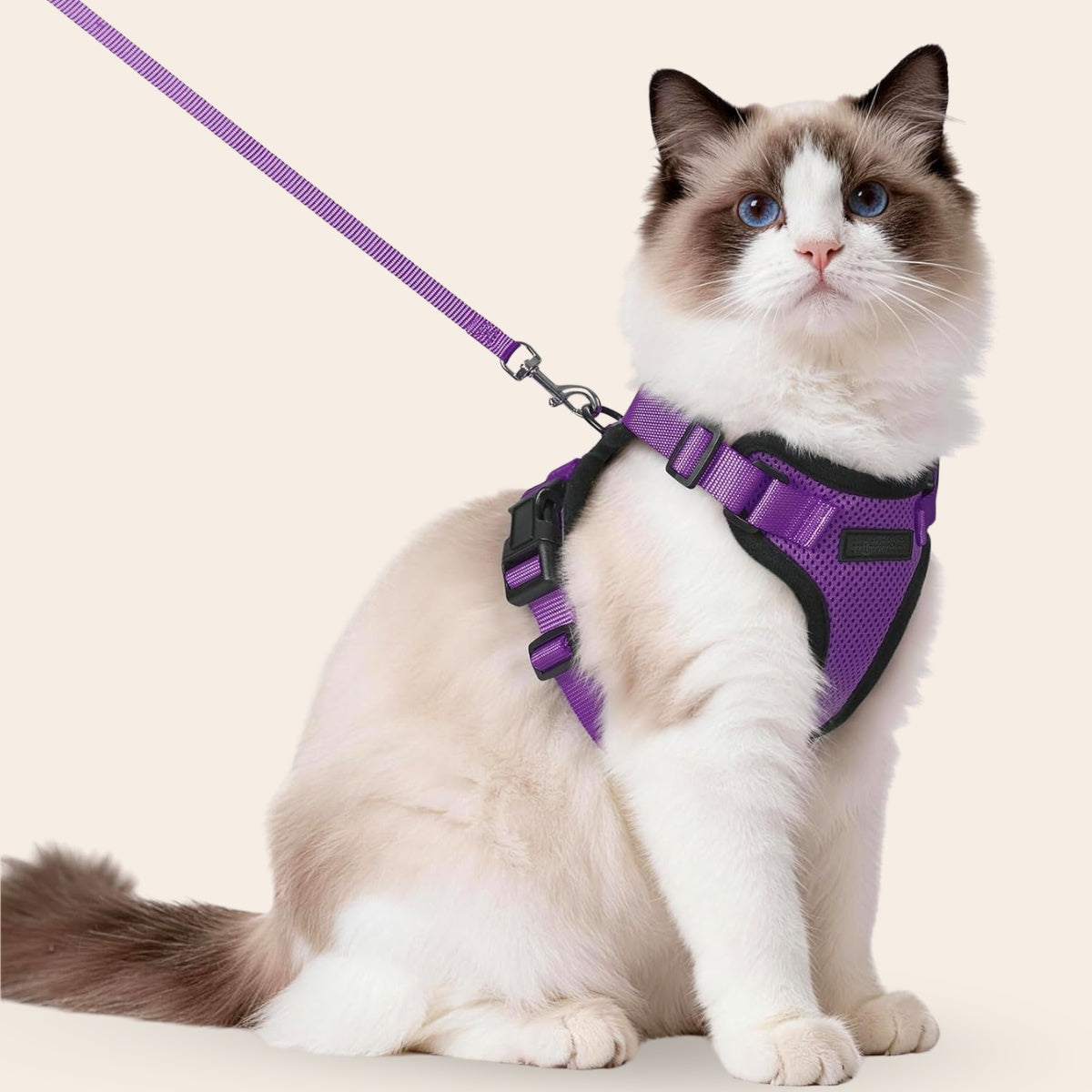 ExploreFit™ Cat Harness