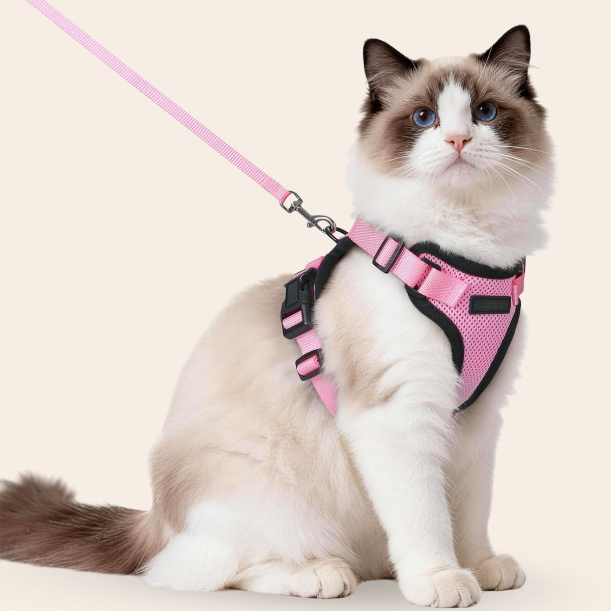 ExploreFit™ Cat Harness