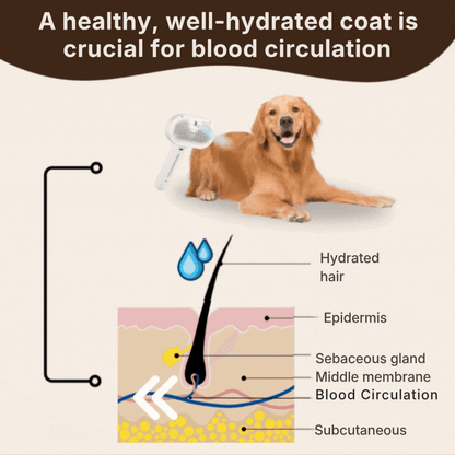 SteamiBrush™ | Professional Pet Grooming Brush