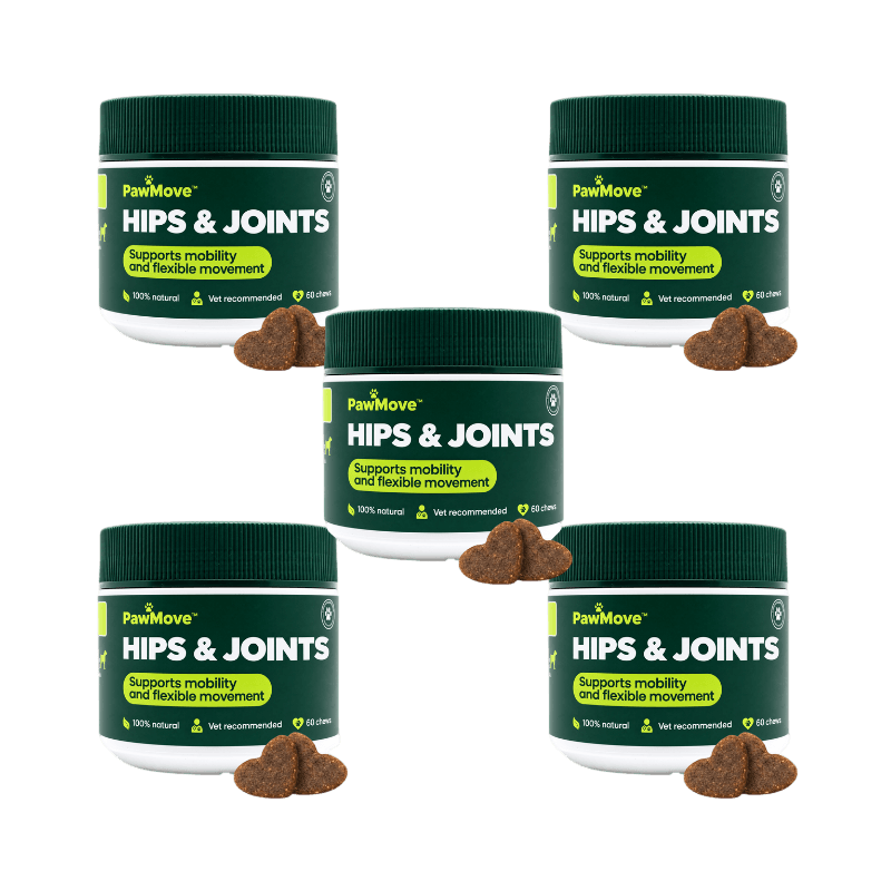 PawMove™ Hip & Joint Snacks | 99% saw improvement within 4 weeks