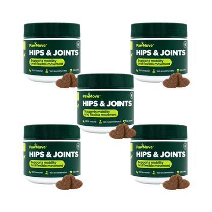 PawMove™ Hip & Joint Snacks | 99% saw improvement within 4 weeks